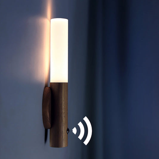 Induction wall lamp light