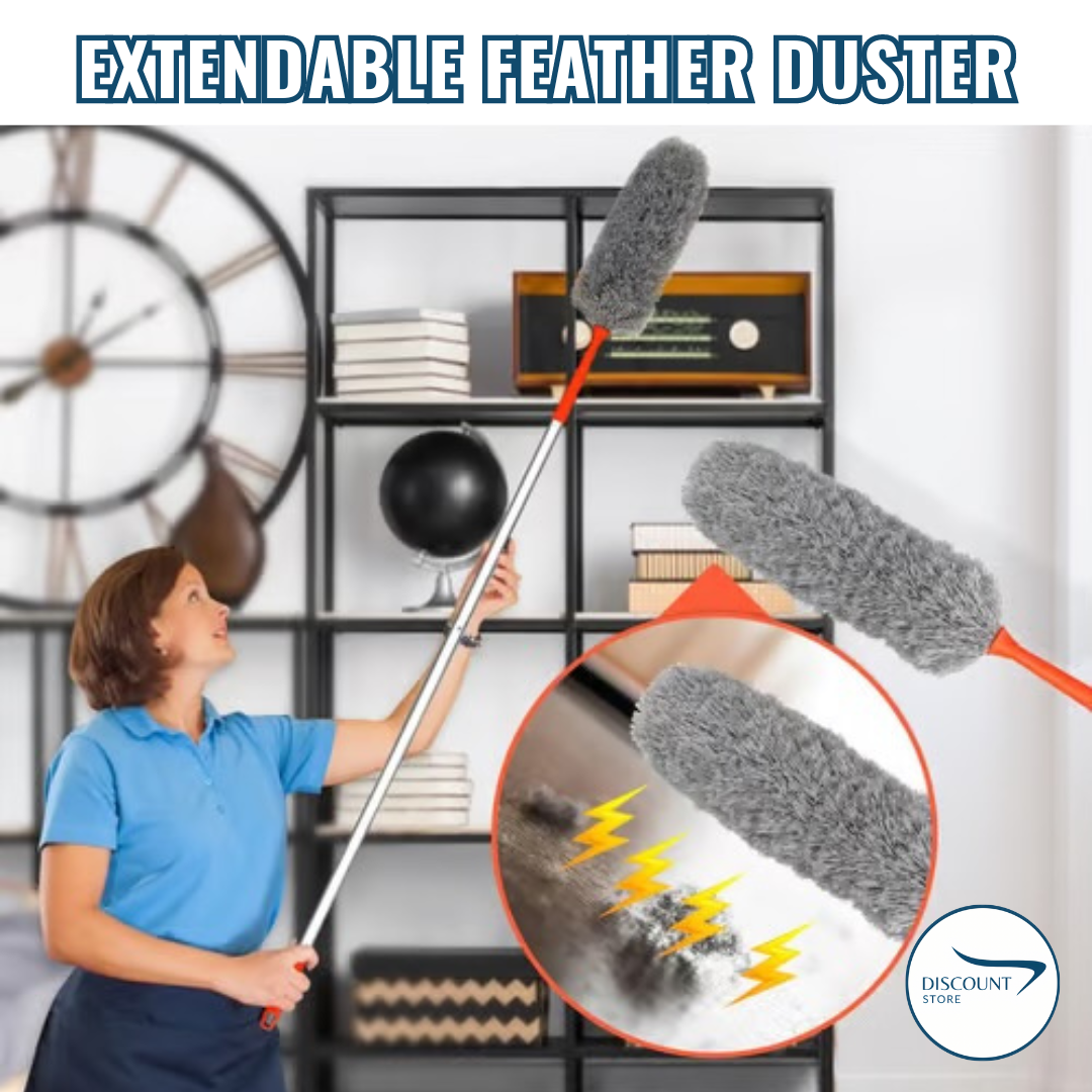 Long Handle Cleaning Fan Duster