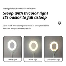 Smart Voice Control LED Light