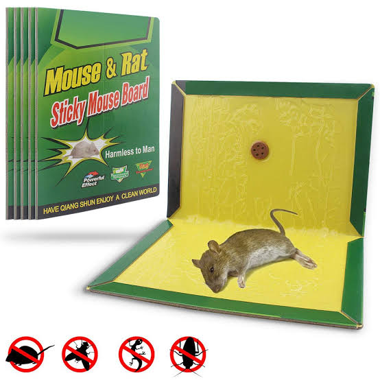 1 Pcs Mouse Trap Glue Pad Sticky Rat Mouse Board